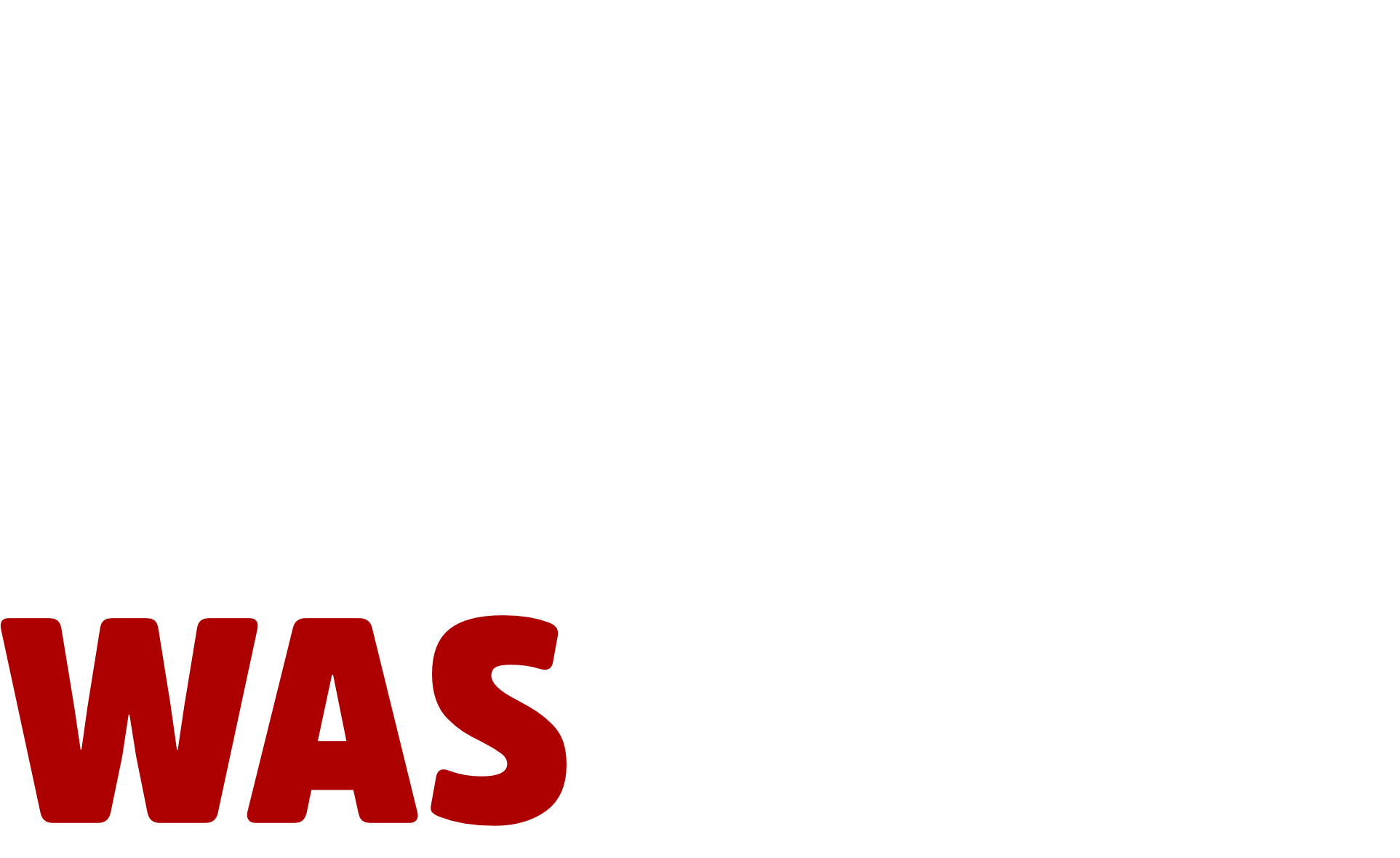 WASViking Logo